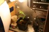 img1095ia.jpg