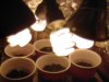 grow day 4 #8.jpg