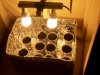 100_1223.jpg