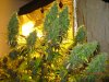 IMG_1572.JPG