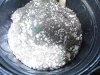 100_2434.jpg