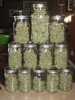 final bud 017.JPG