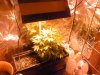 IMG00063.jpg