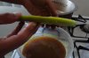 DSC04515.jpg