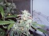 PC160149.jpg