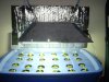 DSCN0749.jpg