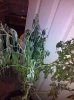 2009-12-15 18.58.38.jpg