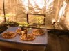 th_PIC_0004.jpg