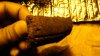 DSC02457.jpg