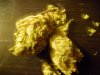 weedzz (2).jpg