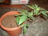 DSC01256.JPG