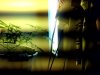Snapshot_20091224.jpg