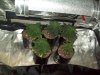 100_2182.jpg