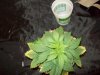 100_2184.jpg