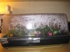 humdome_2_122709.jpg