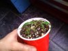 DSC03724.jpg