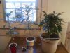 thatstankydanky-albums-babies-picture100259-keep-mind-there-all-same.jpeg thatstankydanky-albums-babies-picture100259-keep-mind-there-all-same.jpeg