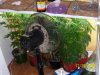 100_2396.jpg