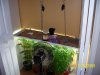100_2397.jpg