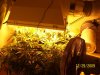 100_2400.jpg