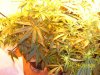 100_2404.jpg