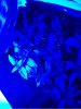 100_0404.JPG