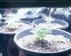 120807_00021.jpg