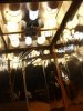 SD530481.jpg