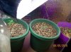 100_1820.jpg