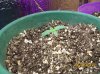 100_1828.jpg