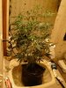 DSC01286.jpg