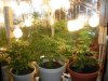 DSCN1511.jpg