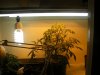2007_0806stuff0007.JPG