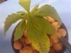 2010-01-07 11.09.20.jpg