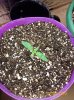 100_1837.jpg