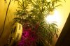 100_0974.jpg
