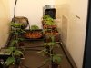 Grow Folder 001.jpg