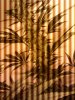 2010-01-01 17.53.00.jpg