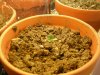DSCN0615.jpg
