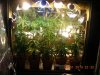 DSCN2159.jpg