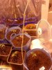 DSC00113.jpg