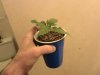 DSC00699.jpg