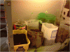 P110110_21.20[03].gif