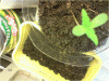 P110110_21.21[03].gif
