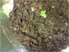 P110110_21.21[05].gif