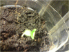 P110110_21.21[06].gif