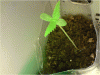 P110110_21.21[07].gif