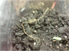 P110110_21.22[01].gif