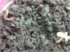 P110110_21.22[02].gif