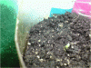 P110110_21.22[03].gif